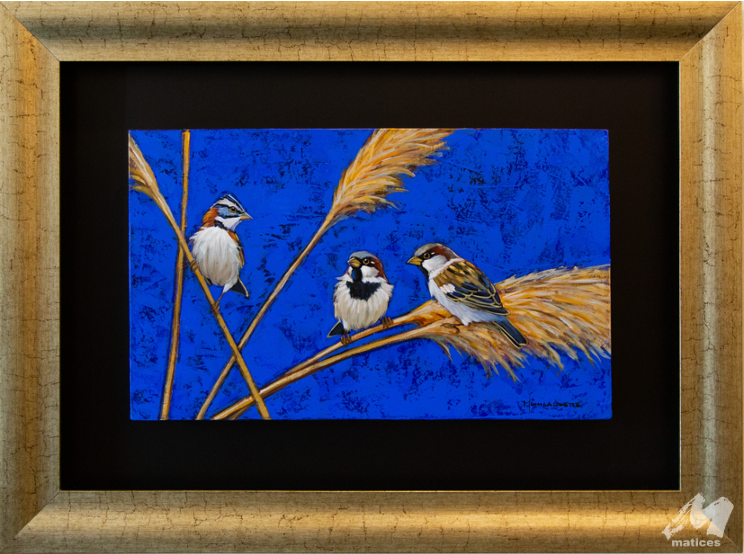 3 PAJARITOS CON PLANTAS MG4