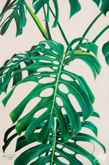 BOTANICA JA16