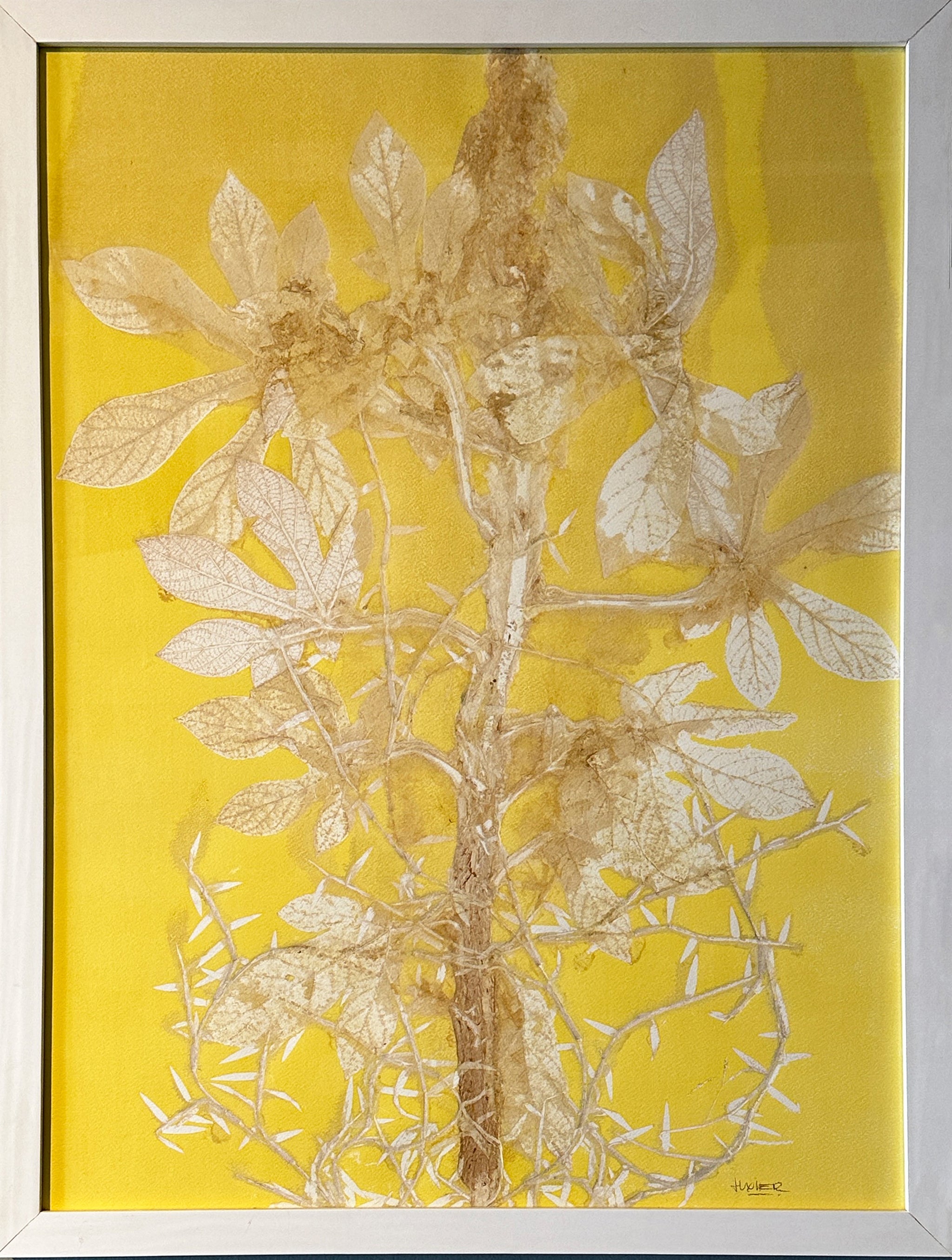 LC3
